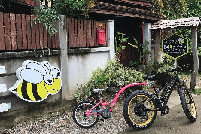 Half-day Ping River and rice paddies E-bike adventure (flat land, GUIDED) - Who Might Want to Skip It?