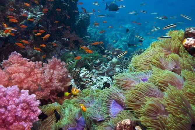 Half-day Snorkeling Experience in Phu Quoc Island - Relaxation & Fun on the Boat