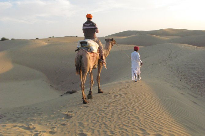 Half Day Sunset Camel ride & Cultural program dance & dinner - Detailed Breakdown of the Experience