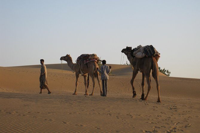 Half-Day Sunset Desert Safari - What’s Included and What’s Not