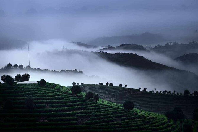 Half-day Tour: Largest Tea Plantation & Amazing Xianggong Hill - The Value of This Tour