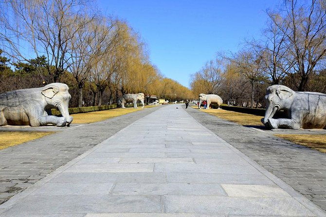 Half Day Tour to Ming Tombs Underground Palace and Sacred Path from Beijing - An In-Depth Look at the Tour Experience