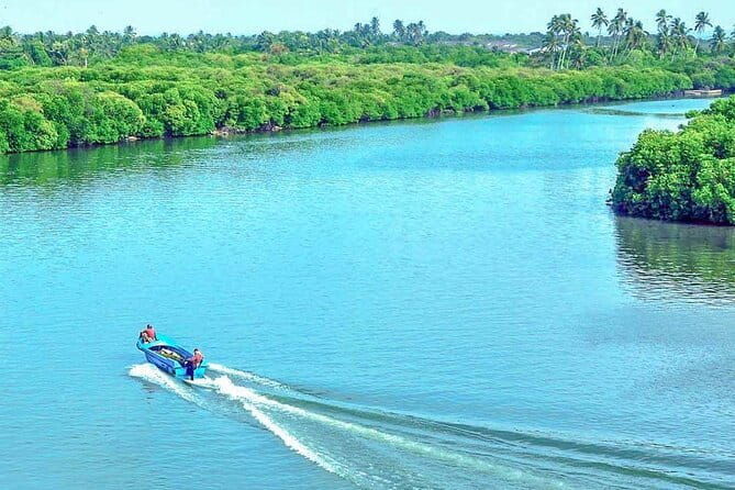 Half Day Tour to Muthurajawela, Lagoon, Dutch Canal and Mangroves - The Experience of Guides & What Travelers Say