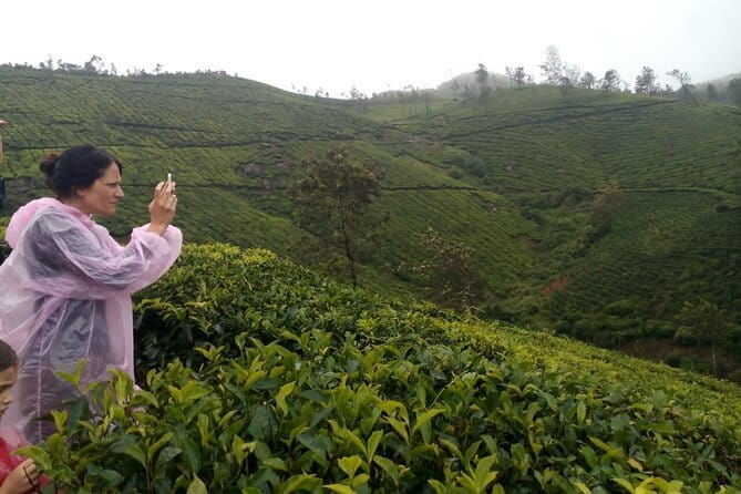 Half Day Trekking In Munnar - Practical Details and Tips for Your Trek  