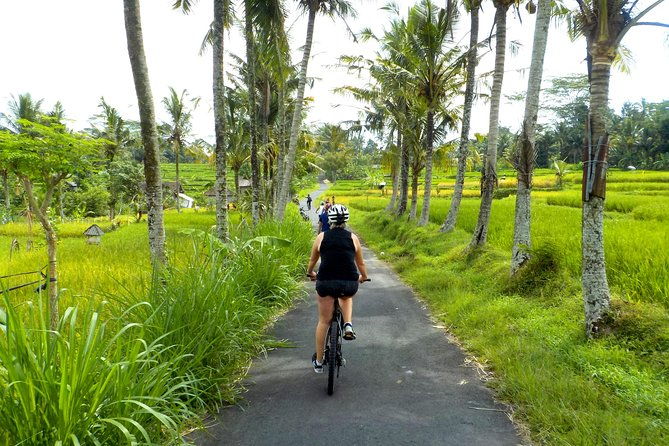 Half-Day Ubud Electric Cycling Tour to Tirta Empul Water Temple - Discovering Ubud by Electric Bike