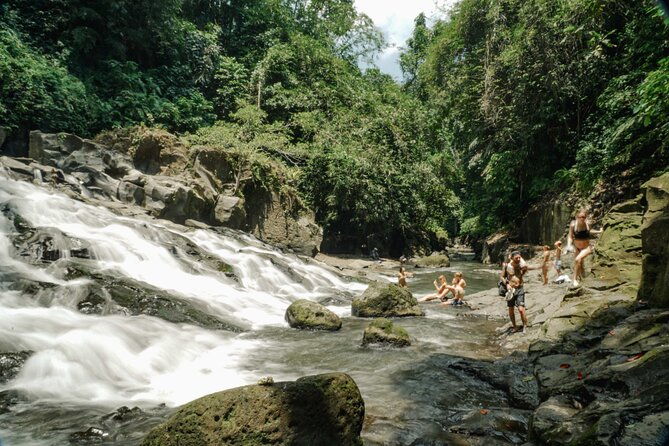 Half Day Ubud Waterfall Tour - A Step-by-Step Breakdown of the Itinerary