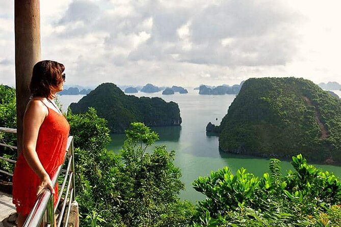 Halong Bay Cruise Luxury Full Day Tours - The Cruise Experience: Scenic Highlights and Notable Sights