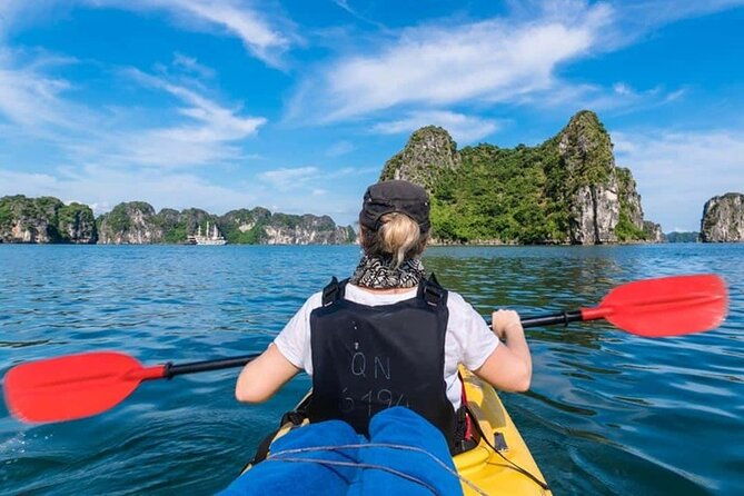 Halong Bay Day Trip 6hour: Buffet Lunch,Limousine bus,small group - What Makes This Tour Stand Out?