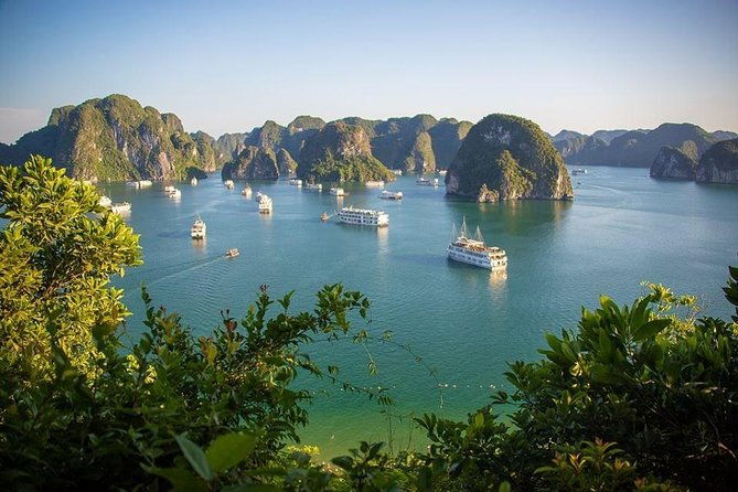 Halong Bay In Just One Day with Ti Top Island - The Experience on the Ground and on the Water