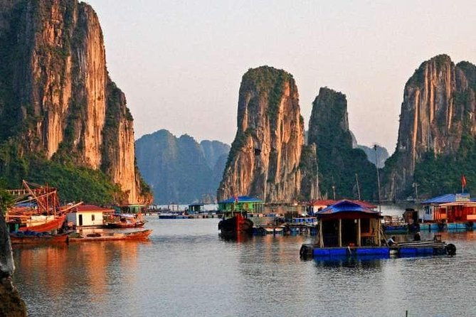Halong Bay tour 2 days / 1 night on Stellar cruise {New 4 star Cruise}. - Who Is This Tour Best Suited For?