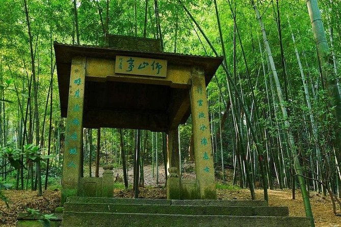 Hangzhou Jiuxi and Hupao Spring Hiking Day Trip from Shanghai by Bullet Train - What Travelers Say: Authentic Insights