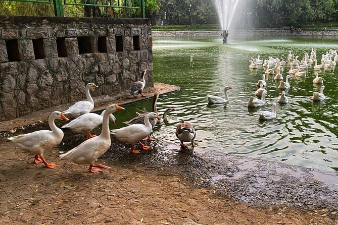 Heritage Delhi Private Walking & Shopping Tour - Breaking Down the Itinerary