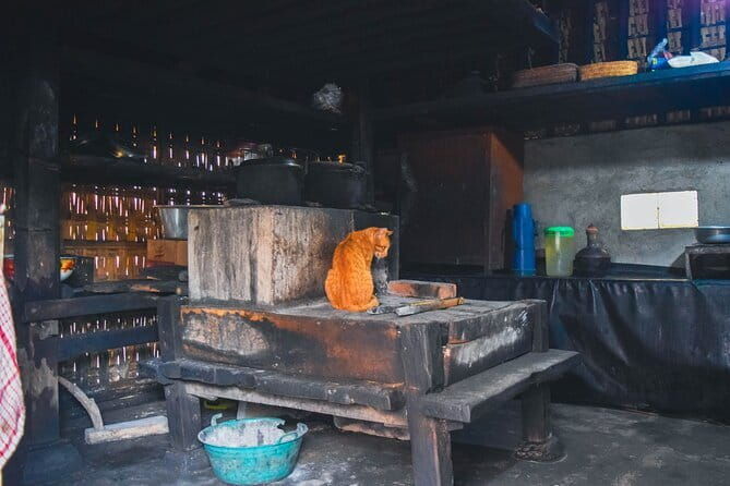 Highlight of Bali Tour - A Deep Dive into the Full-Day Bali Experience