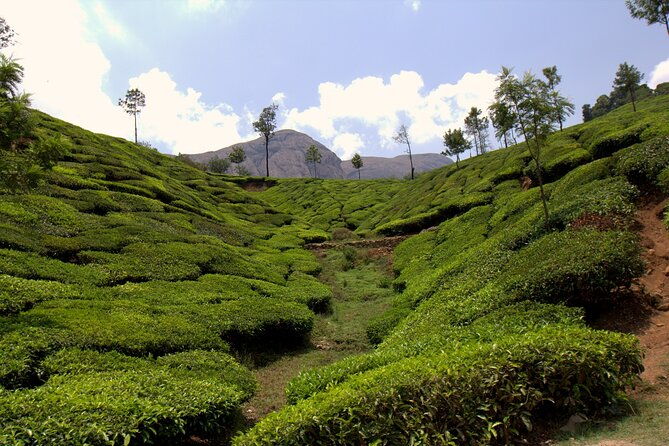 Highlights of Kerala - Who Is This Tour Best Suited For?