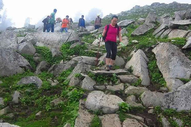 Hiking Day Tour to Triund from Dharamshala - Practical Details and Tips for Travelers