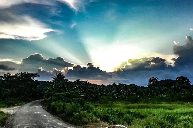 Hinterland Cycling Tour, Havelock - Exploring the Havelock Hinterland