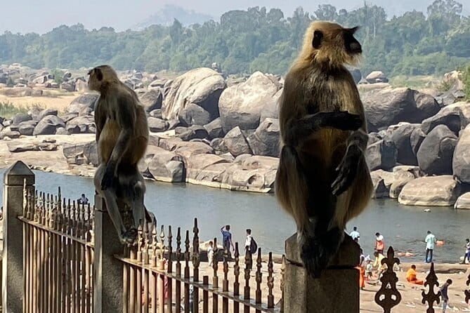 Hire a Licensed Guide for Fullday Hampi visit with own transport - A Closer Look at the Hampi Experience