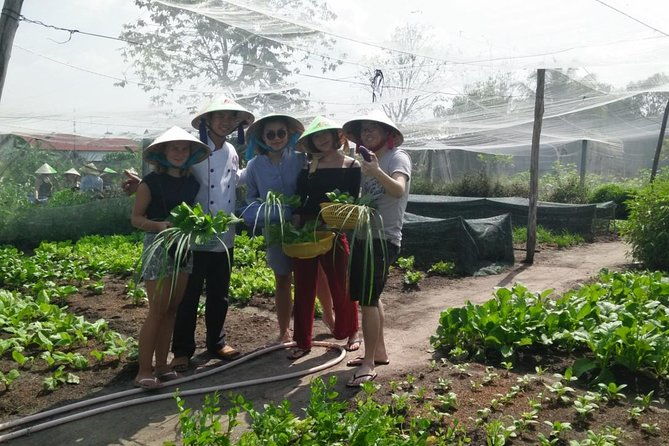 Ho Chi Minh City Full-Day Cooking Class with City Tour - Authentic Experiences Highlighted by Reviewers