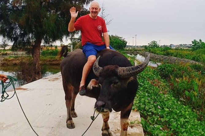 Hoi An Countryside Tour with Bamboo Basket Boat Rowing , Buffalo Ride, Farming - Practical Details and What to Expect