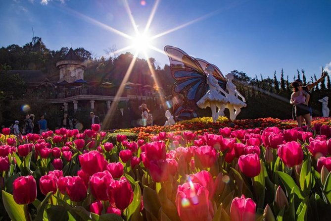 Hoi An/ Da Nang - Ba Na Hills - Golden Bridge Deluxe Small group - Transportation & Group Size  