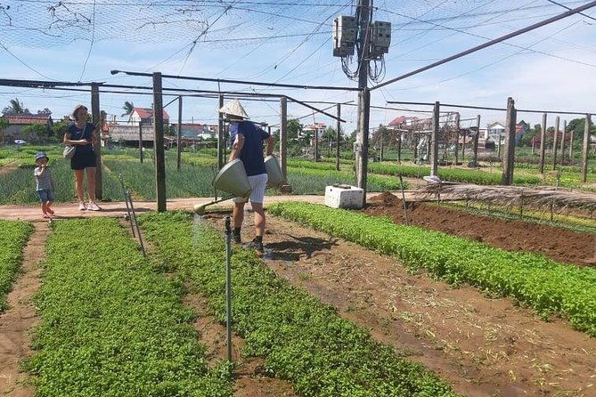 Hoi an Tra Que vegetable village & cooking class - Who Should Book This Experience?  