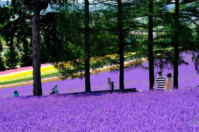 Hokkaido Asahiyama Zoo, Furano and Biei Bus Tour - Discovering the Best of Hokkaido in One Day