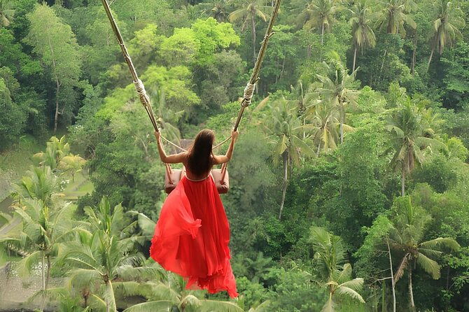 Holy water Temple Self-Purification & highlight Ubud Tour - Who Is This Tour Best Suited For?