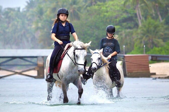 Horse Riding and Beach Trails on Koh Samui - Pricing and Value