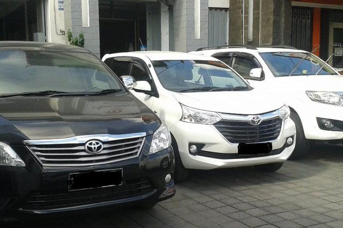 Hotel to Hotel:Bali Private Transfer (Daytime) - What to Expect on Your Ride