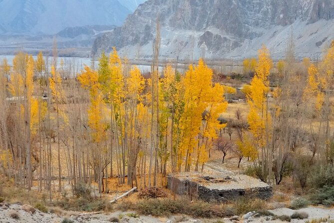 Hunza Autumn Tour - An In-Depth Look at the Itinerary
