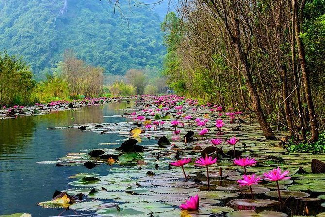 Huong Pagoda 1 Day Daily Tour - Who Is This Tour Best For?