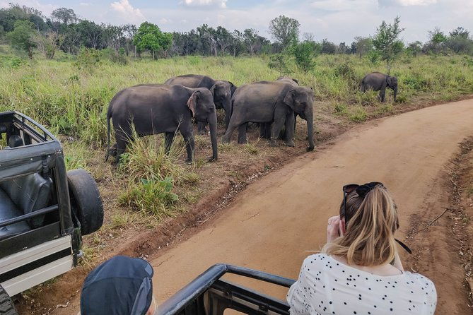 Hurulu Eco Park Private Safari from Sigiriya - Final Thoughts