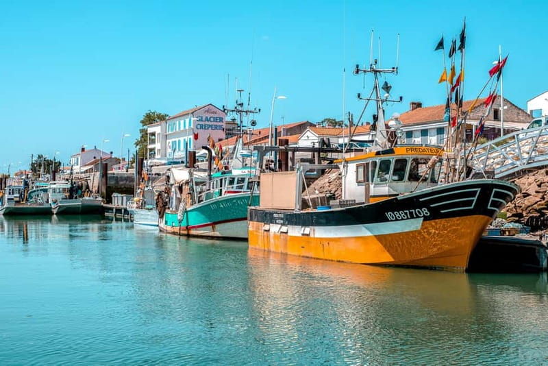 Ile d'Oléron - Boyardville : boat trip to Fort Boyard 1h00 - Who Should Consider This Tour?