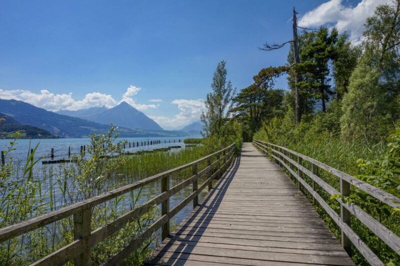 Interlaken: Insta-Perfect Walk with a Local - Practical Details and What to Expect