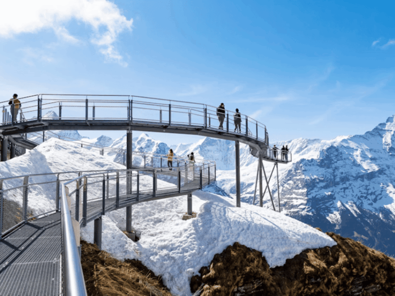 Interlaken: Private Day Trip to Harder Kulm and Grindelwald - Why This Tour Offers Great Value