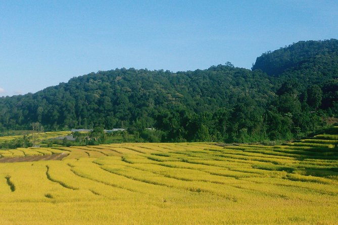 Inthanon Day Trip from Chiang Mai with Lunch - Group or Private - The Sum Up