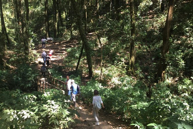 Inthanon Small-Group with Kew Mae Pan Trail from Chiang Mai include Lunch - Why This Tour Is a Great Choice