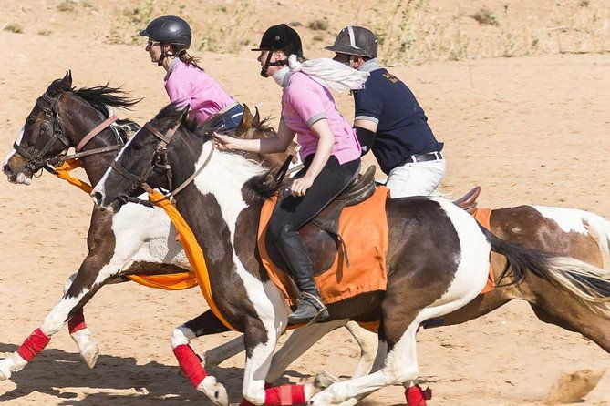 Jaipur Horse Riding Adventure - The Scenic Trails and Cultural Insights