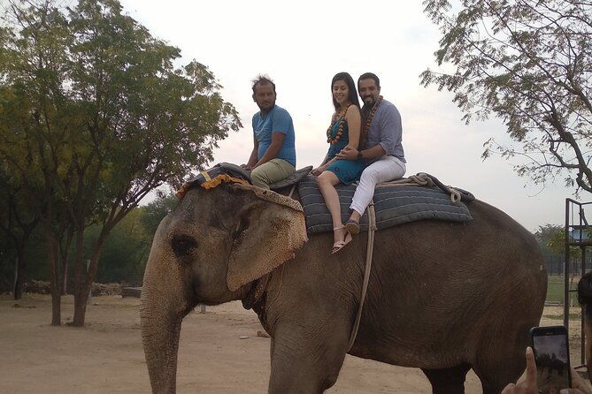Jaipur Pink City Private Day Trip from Delhi - Why This Tour Works