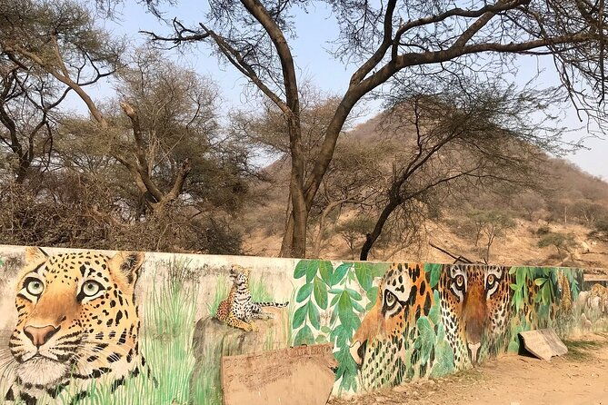 Jaipur to Jhalana Leopard reserve Private Day Trip All Inclusive - What Makes This Tour Truly Valuable?