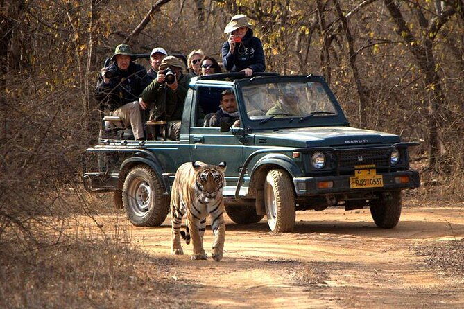 Jaipur to Ranthambore National Park Private One Day Trip - The Sum Up
