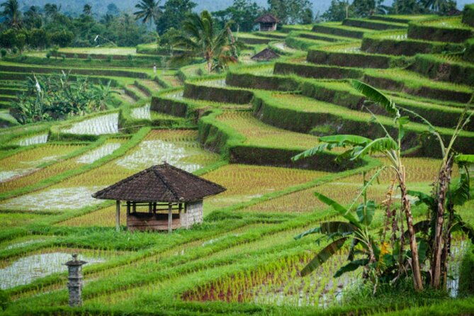 Jatiluwih Rice Terrace and Temple Tour - FAQ