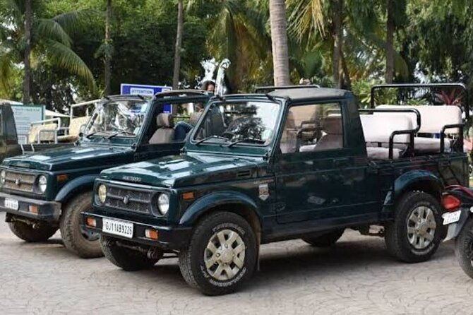 Jeep Safari: A Skip the line access to Devalia Safari Park India - Practical Details and What Sets This Tour Apart