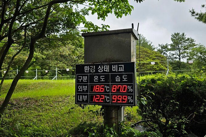 Jeju Day Tour - World Heritage & UNESCO - An Itinerary Spanning Jeju’s Natural and Cultural Wonders