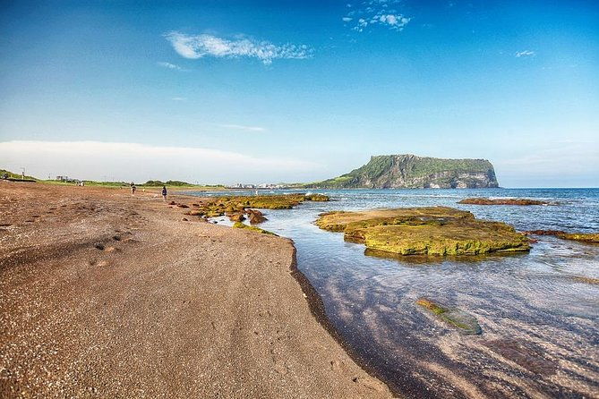 Jeju Island Private Taxi Tour : UNESCO Day Tour - Stellar Transportation and Comfort