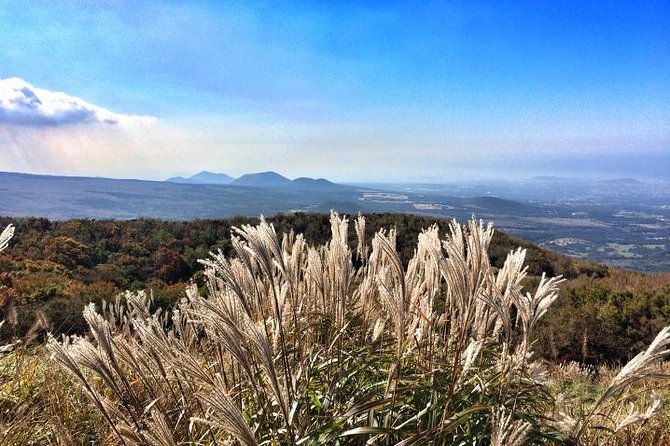 Jeju Premium Small Group UNESCO Day Tour - South Course - Timing & Duration