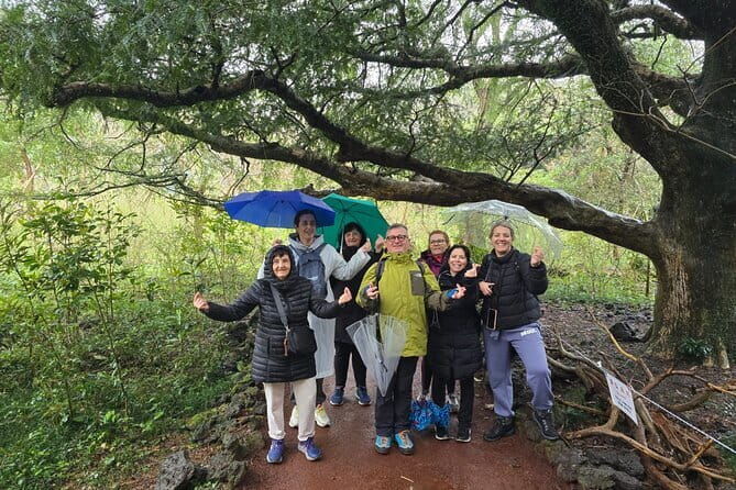Jeju Private Half-Day Tour for Cruise Customers - Who Will Love This Tour?