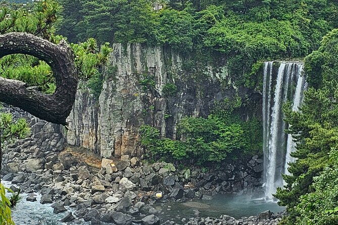 Jeju Private Tour Package-South of Jeju(Mt.Hallasan & Waterfalls) - The Experience: What Makes It Special