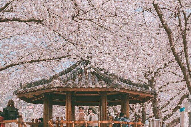 Jinhae Pink Cherry Blossom Festival Tour From Seoul (to Busan) - Final Thoughts: Is This Tour Worth It?