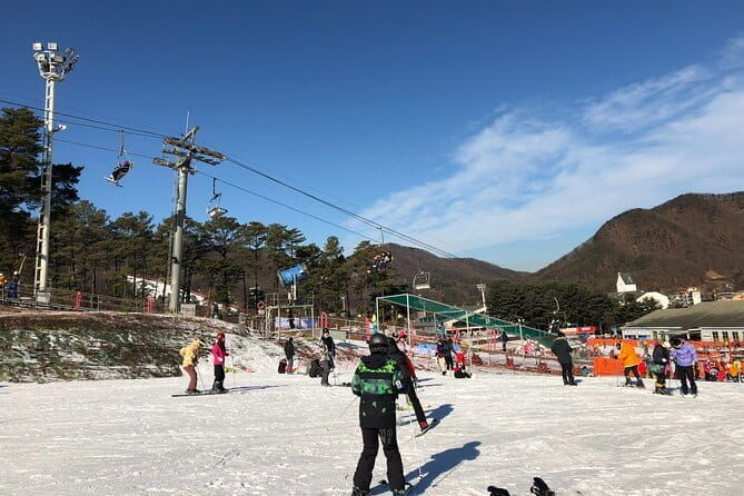 Jisan Forest Ski Resort and Everland 1 Day Tour - What Makes This Tour Stand Out?  